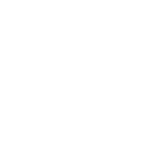 Customised Modules & Programs Icon